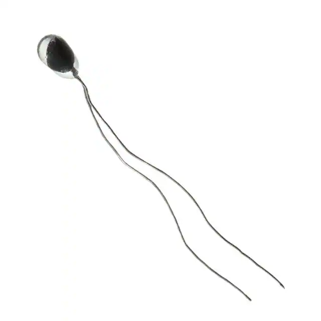 112-202EAJ-B01 Honeywell Sensing and Productivity Solutions