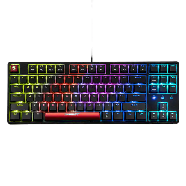CS21-R Digifast