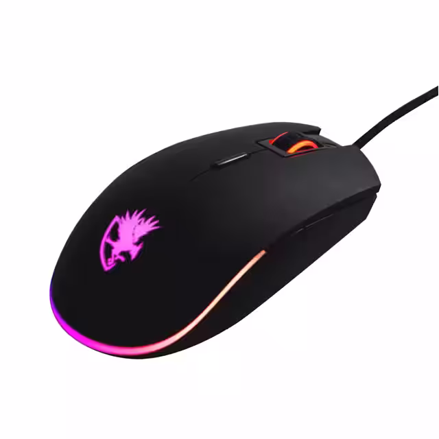NF24 Digifast