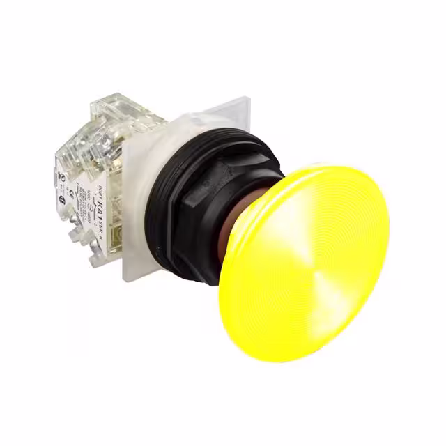 9001SKR25YH13 Schneider Electric