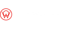 Ole Wolff Electronics Inc. Electronic Component Manufacturer